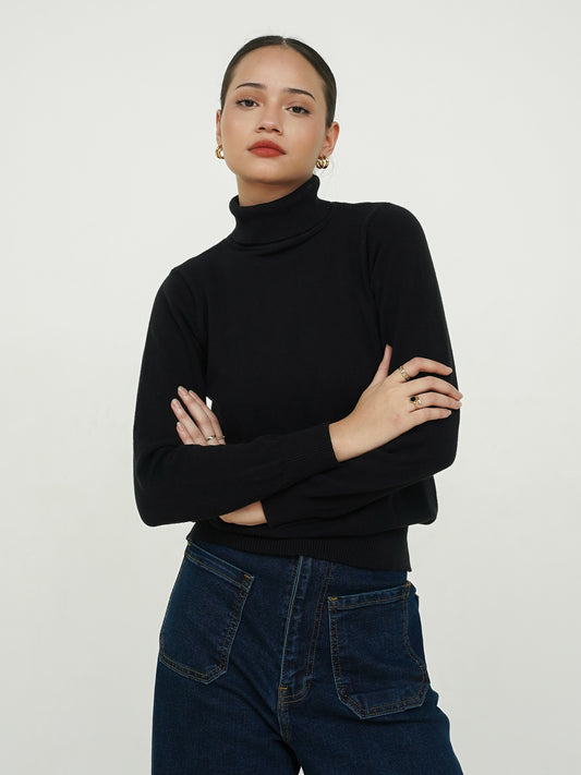 Bia High Neck Soft Knit Sweater - Black